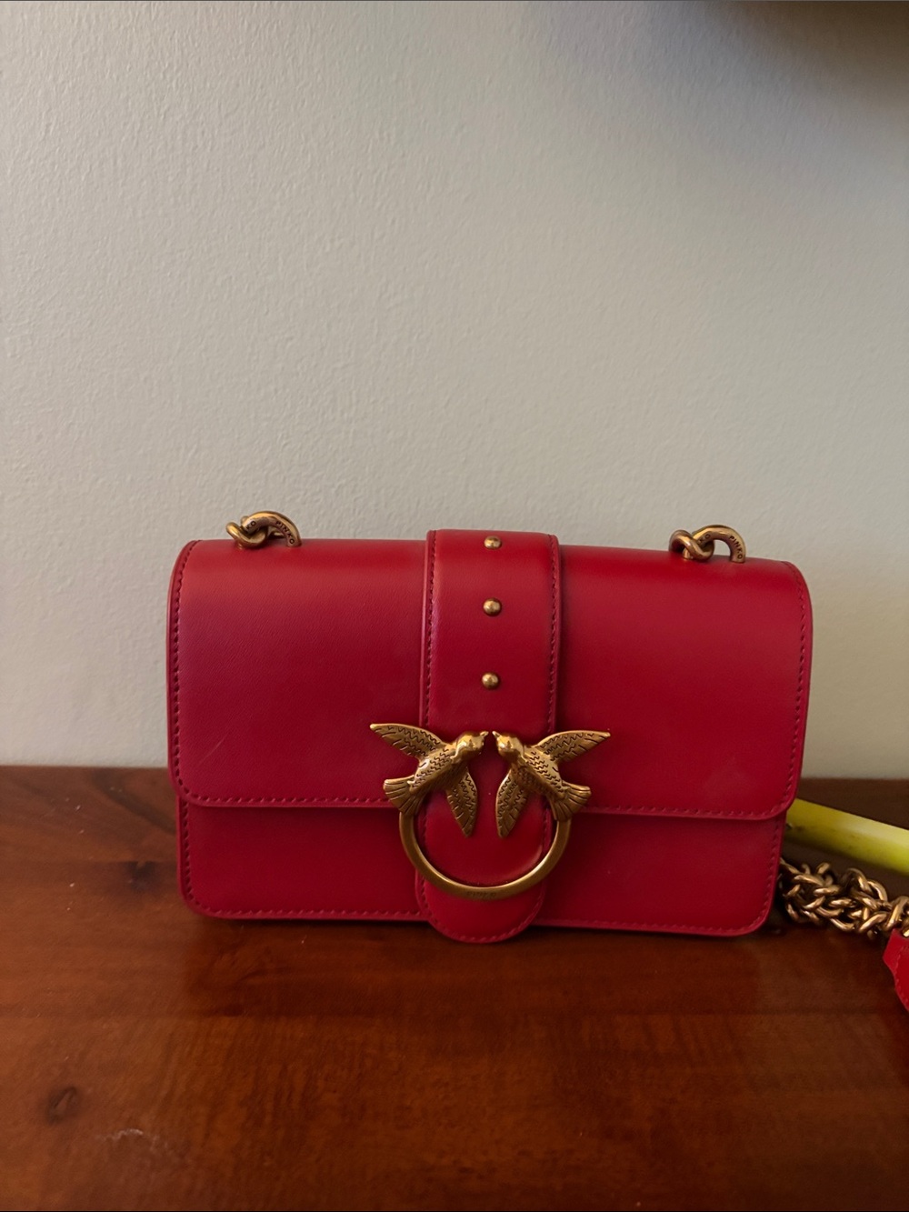 Pinko Red Leather Crossbody Bag with Gold Hardware